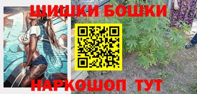 гидра Кингисепп